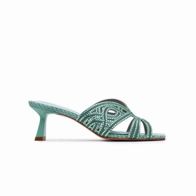 Fenisia 20 Years Exclusive