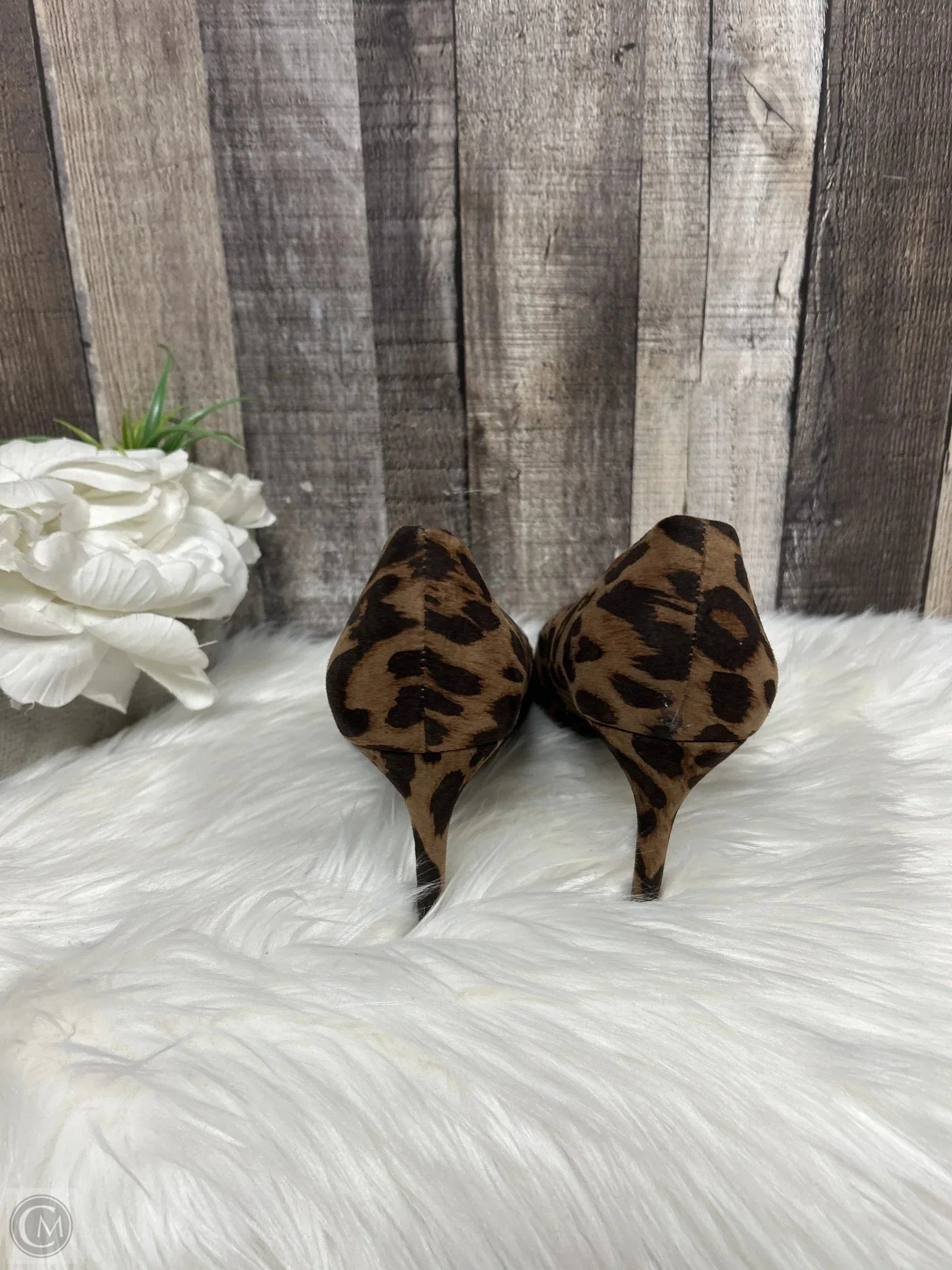 Shoes Heels Stiletto By A New Day In Animal Print, Size: 8.5